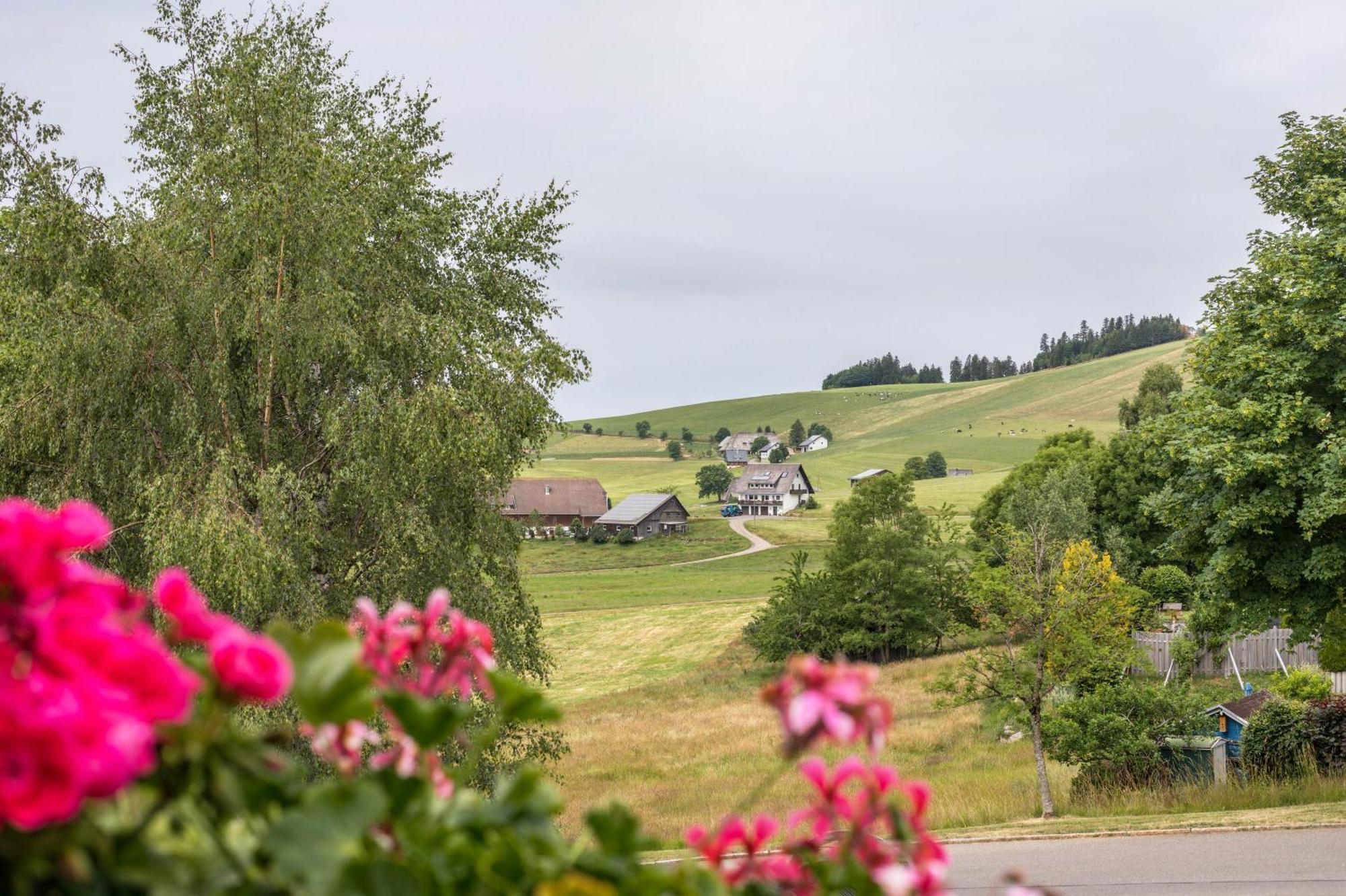 Ferienwohnung Weitblick Breitnau Exterior foto